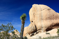 Scenery near Arch Rock T.H. - White Tank Campground