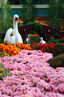 Conservatory Garden - Bellagio (Shots 1-5)