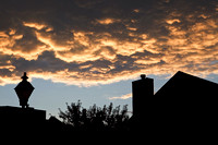 Shots 1-4: Dramatic Sky at Sunset from Scott St.